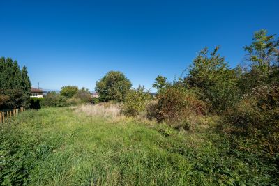 Vente Terrain Neuvecelle 836&nbsp;m²