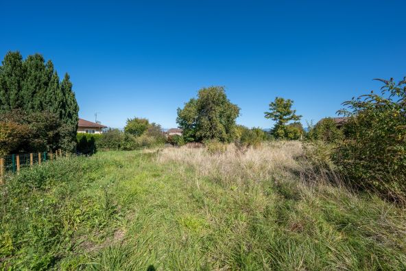 Vente Terrain Neuvecelle 836 m²