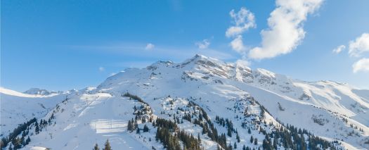 apartment 7 Rooms for sale on AVORIAZ (74110)