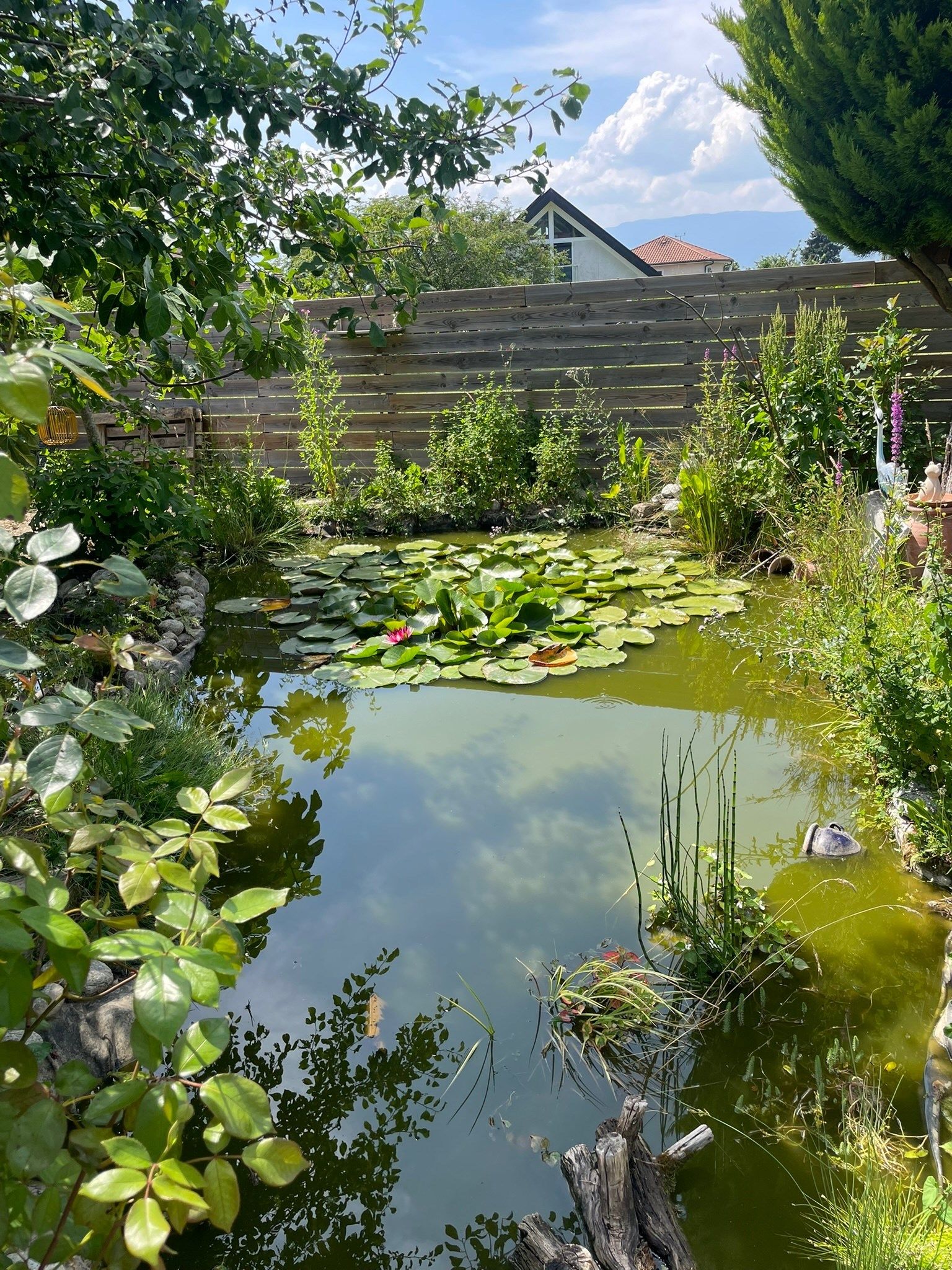 architect's house 7 Rooms for sale on CHENS SUR LEMAN (74140)