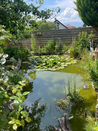 architect's house 7 Rooms for sale on CHENS SUR LEMAN (74140)