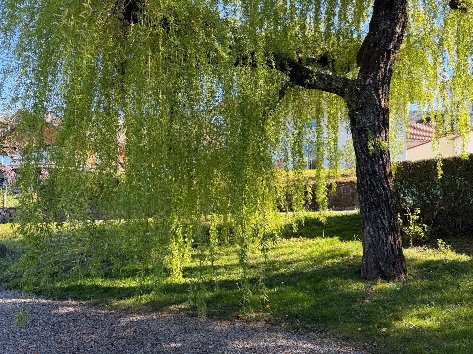 house 9 Rooms for sale on LUGRIN (74500)