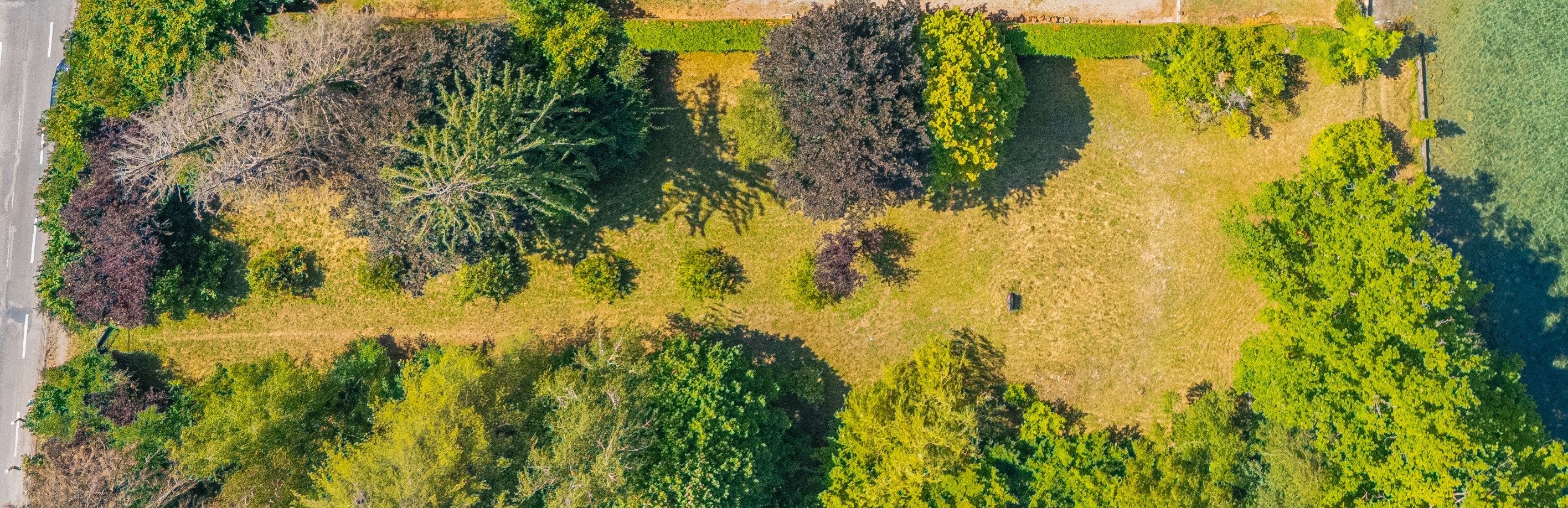 buildable land for sale on SCIEZ (74140)