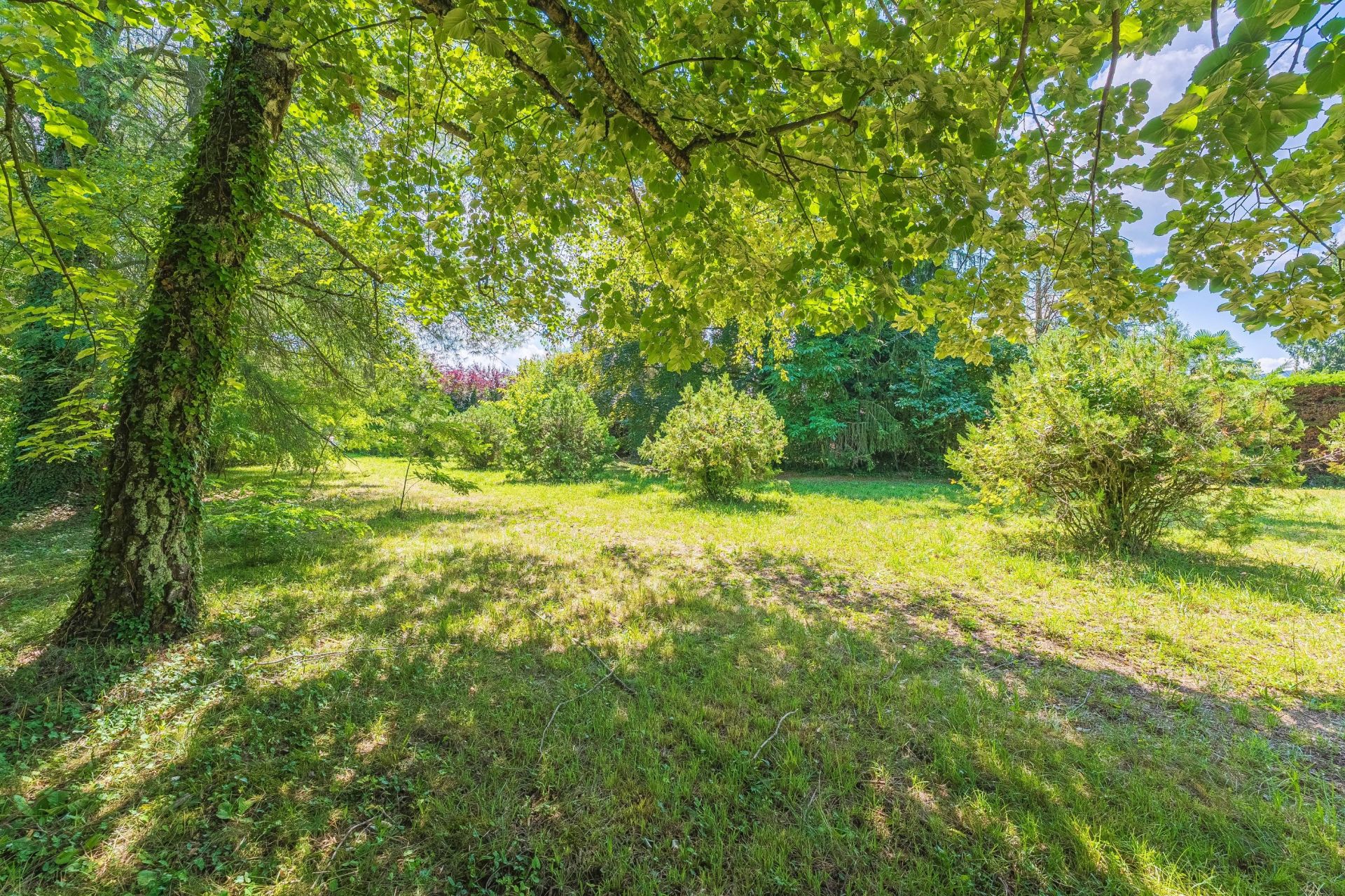 buildable land for sale on SCIEZ (74140)