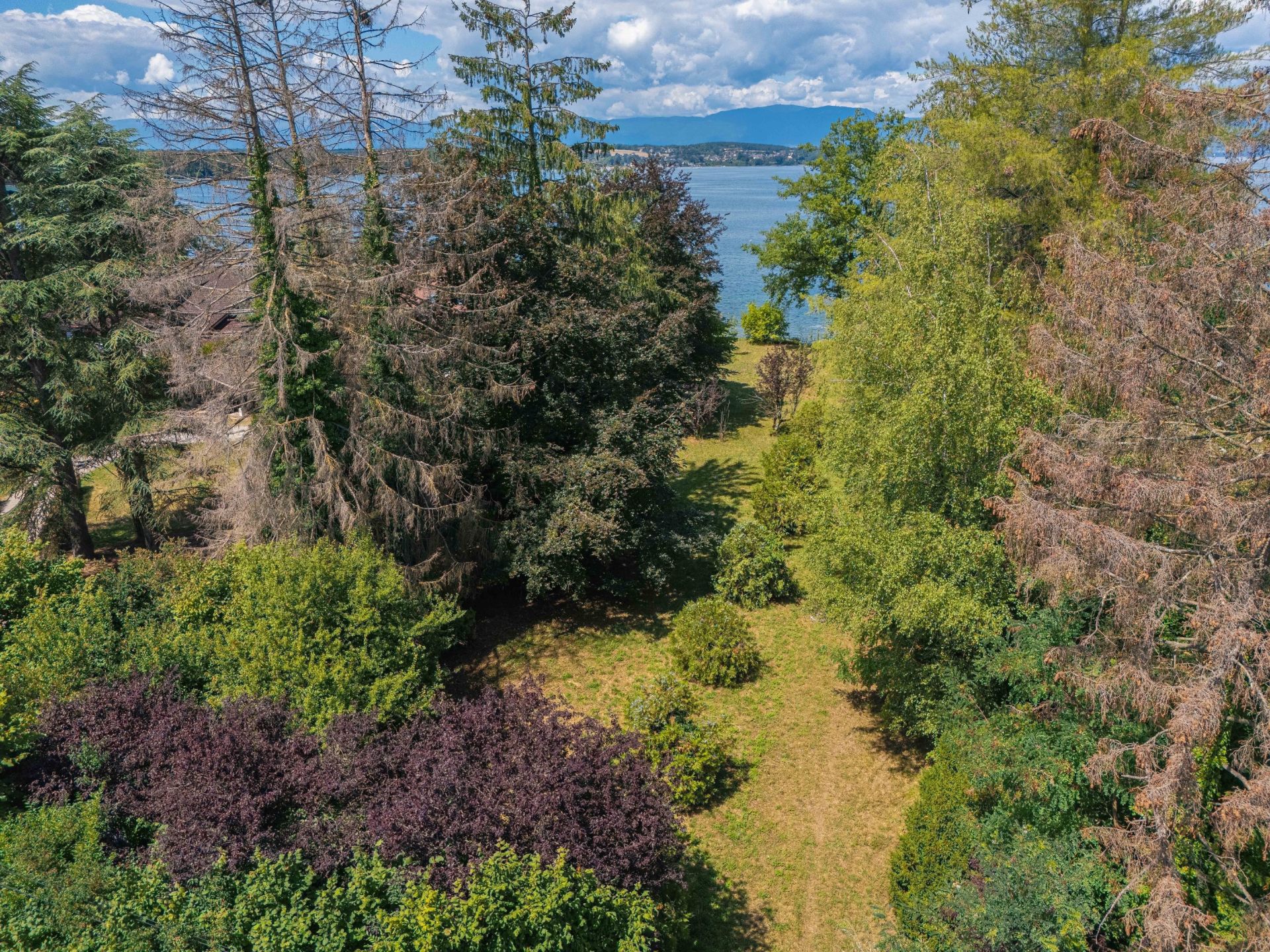 buildable land for sale on SCIEZ (74140)