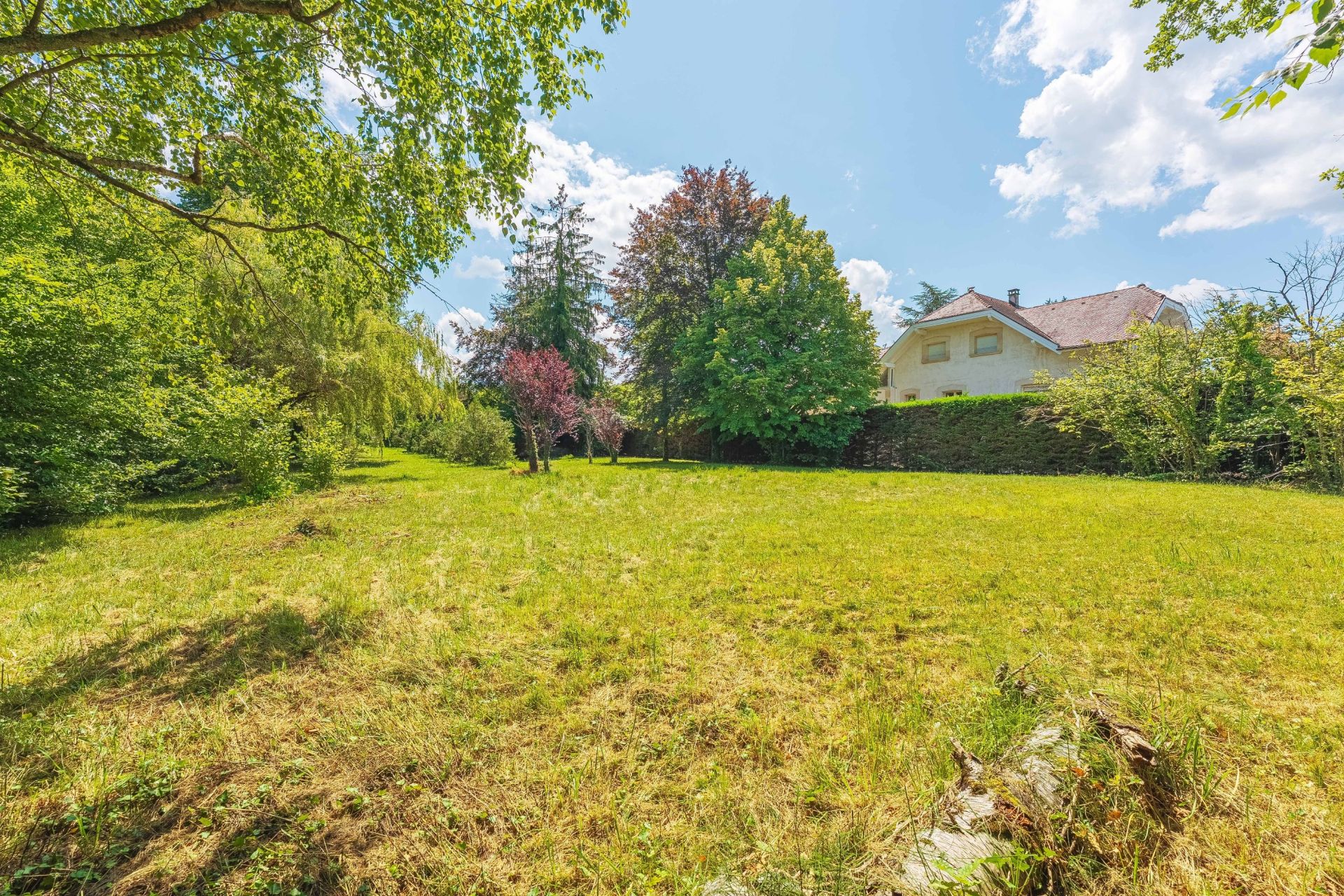 buildable land for sale on SCIEZ (74140)