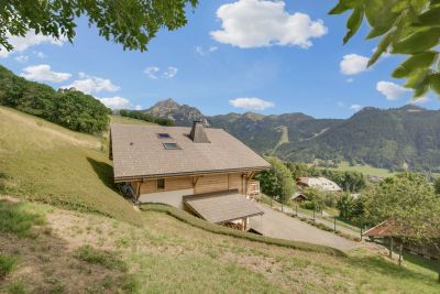 Vente Chalet Bernex 7&nbsp;Pièces 228&nbsp;m²
