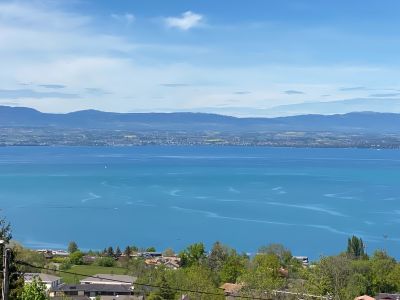 Vente Maison Évian-les-Bains 7&nbsp;Pièces 196&nbsp;m²
