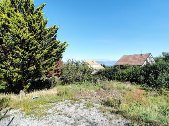 Vente Terrain Neuvecelle 1147&nbsp;m²