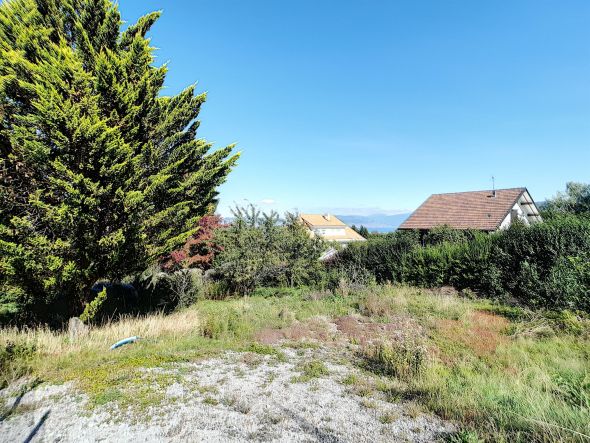 Vente Terrain Neuvecelle 1147&nbsp;m²