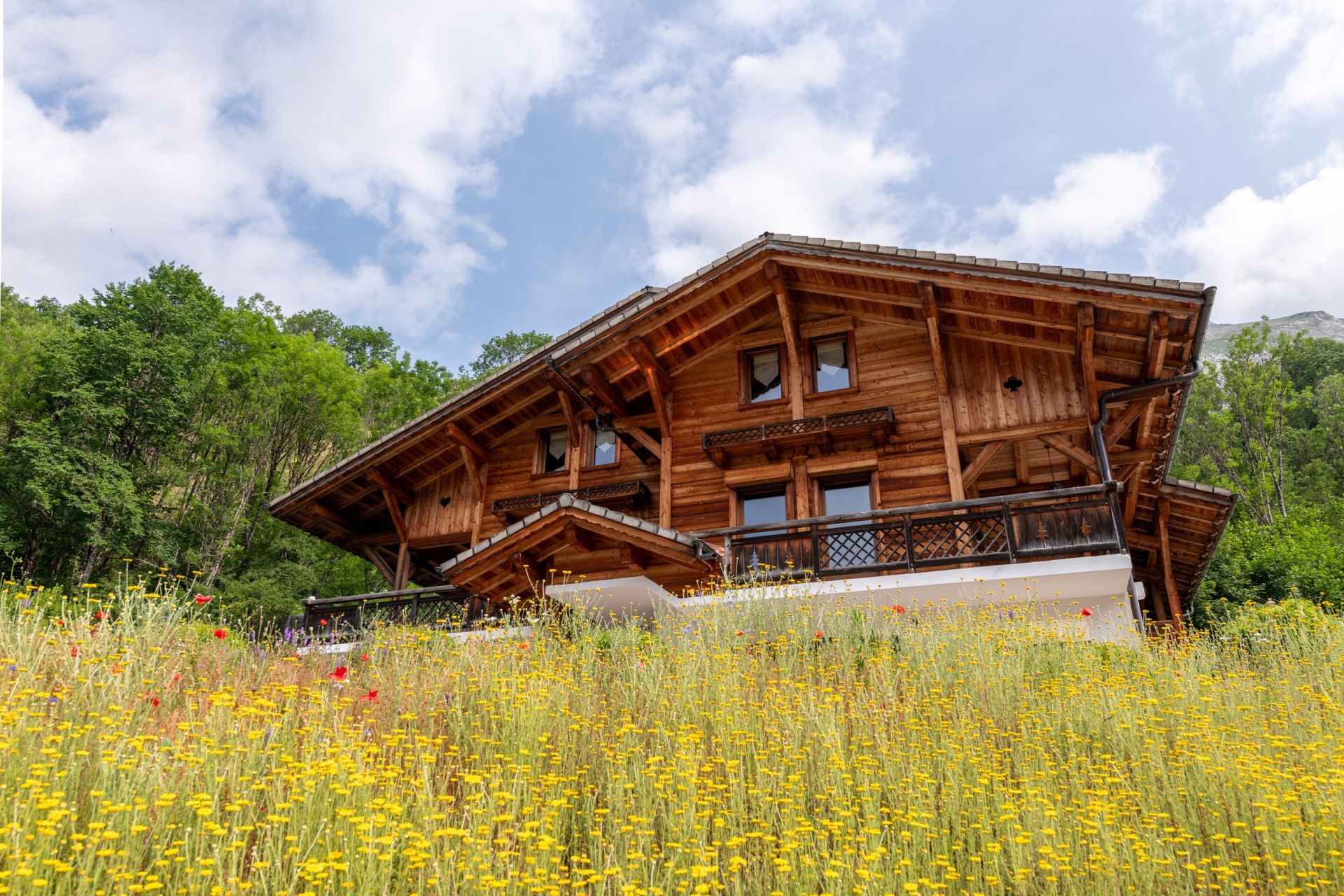 chalet 10 Pièces en vente sur ABONDANCE (74360)