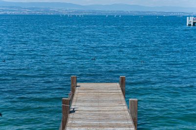 Sale House Thonon-les-Bains 7 Rooms 300 m²