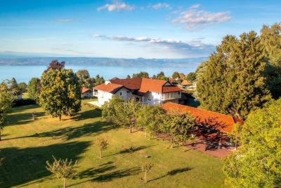 Sale House Saint-Paul-en-Chablais 12&nbsp;Rooms 660&nbsp;m²