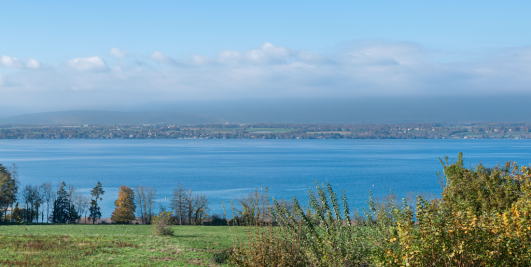 Sale House Chens-sur-Léman 9 Rooms 440 m²