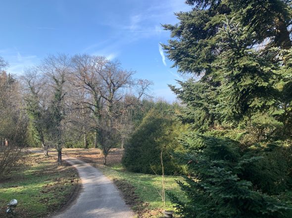 Sale Property Neuvecelle 5 Rooms 247 m²