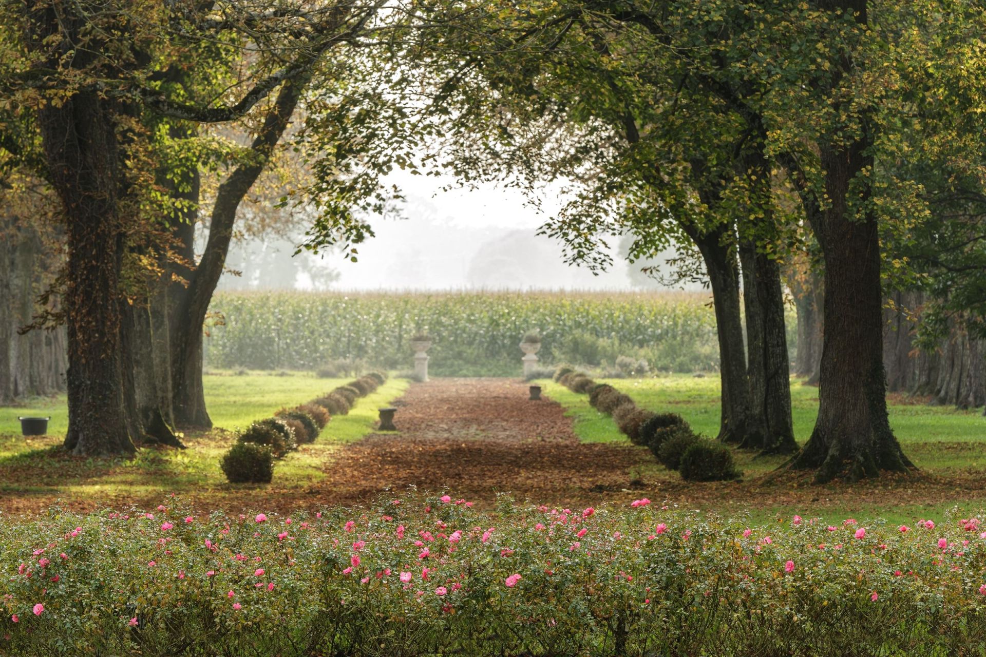 house 25 Rooms for sale on DOUVAINE (74140)