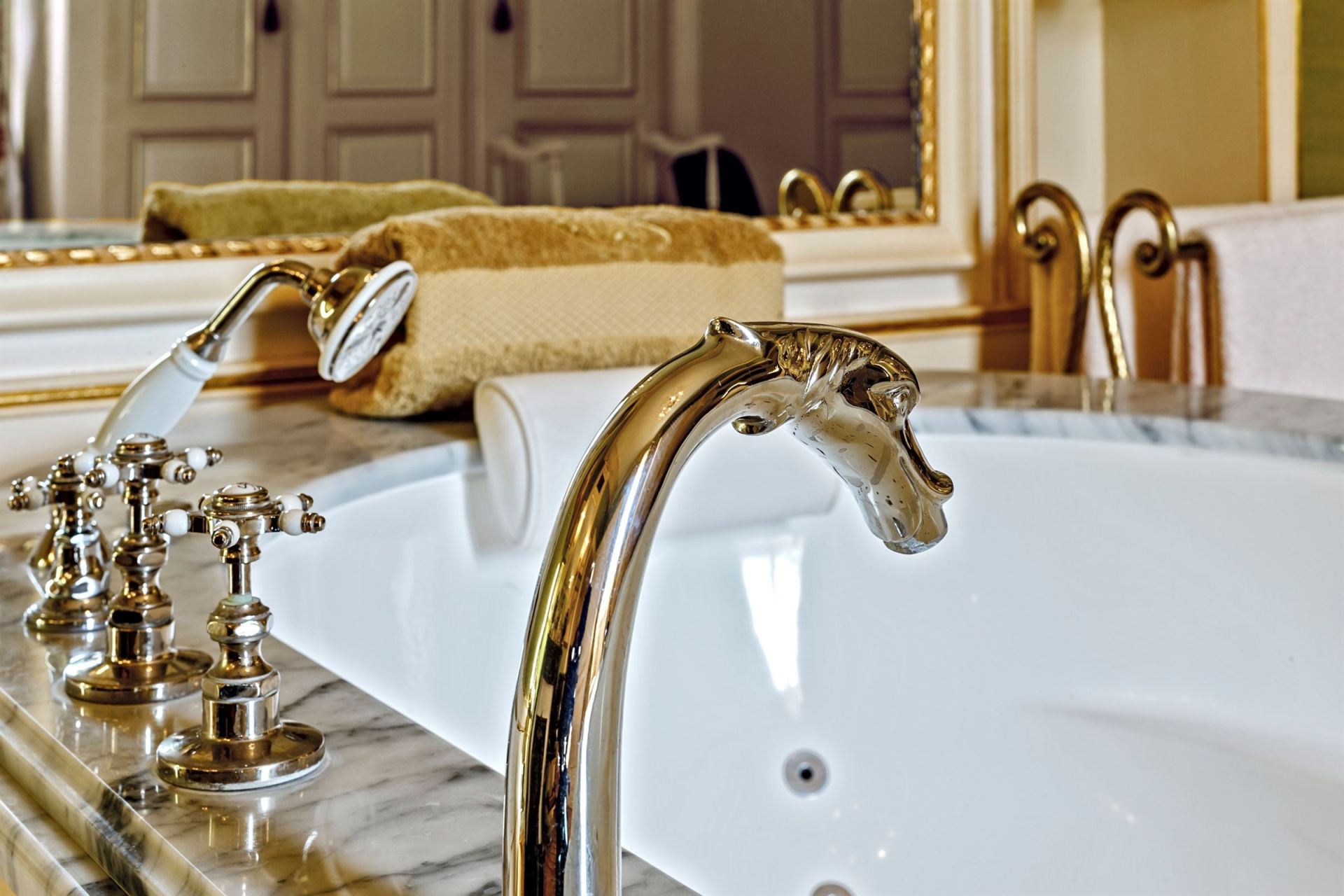 house 25 Rooms for sale on DOUVAINE (74140)