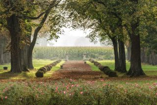 house 25 Rooms for sale on DOUVAINE (74140)