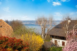 maison 8 Pièces en vente sur NEUVECELLE (74500)