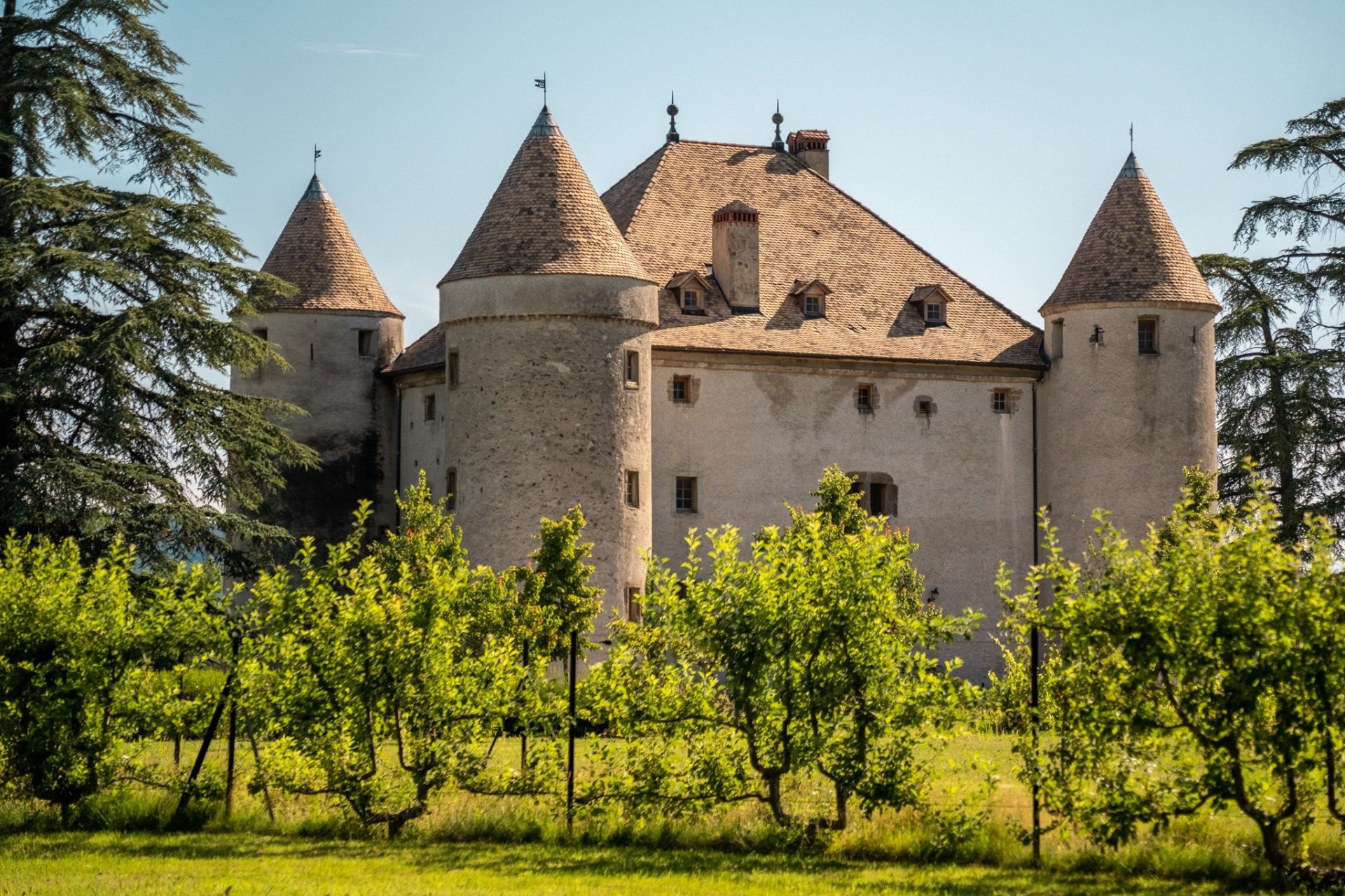 castle 19 Rooms for sale on LULLY (74890)