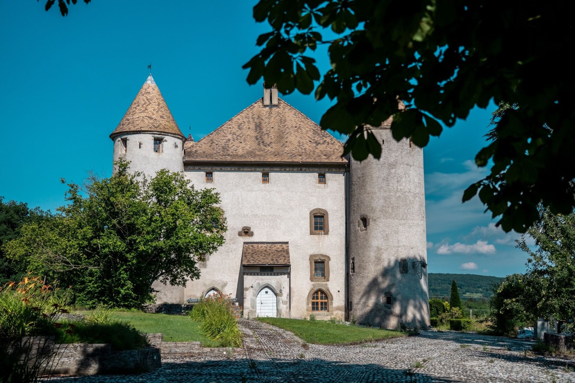 château 19 Pièces en vente sur LULLY (74890)