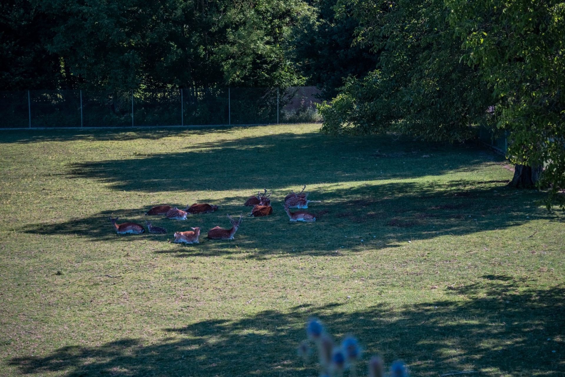 château 19 Pièces en vente sur LULLY (74890)