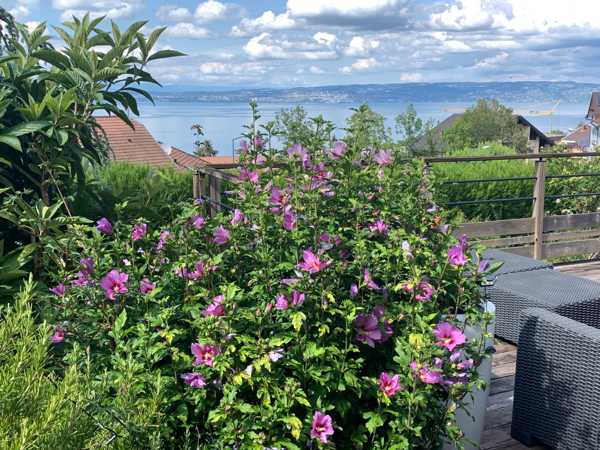 house 8 Rooms for sale on EVIAN LES BAINS (74500)