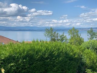 house 8 Rooms for sale on EVIAN LES BAINS (74500)