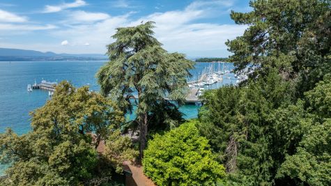 Vente Maison Thonon-les-Bains 18 Pièces 527 m²