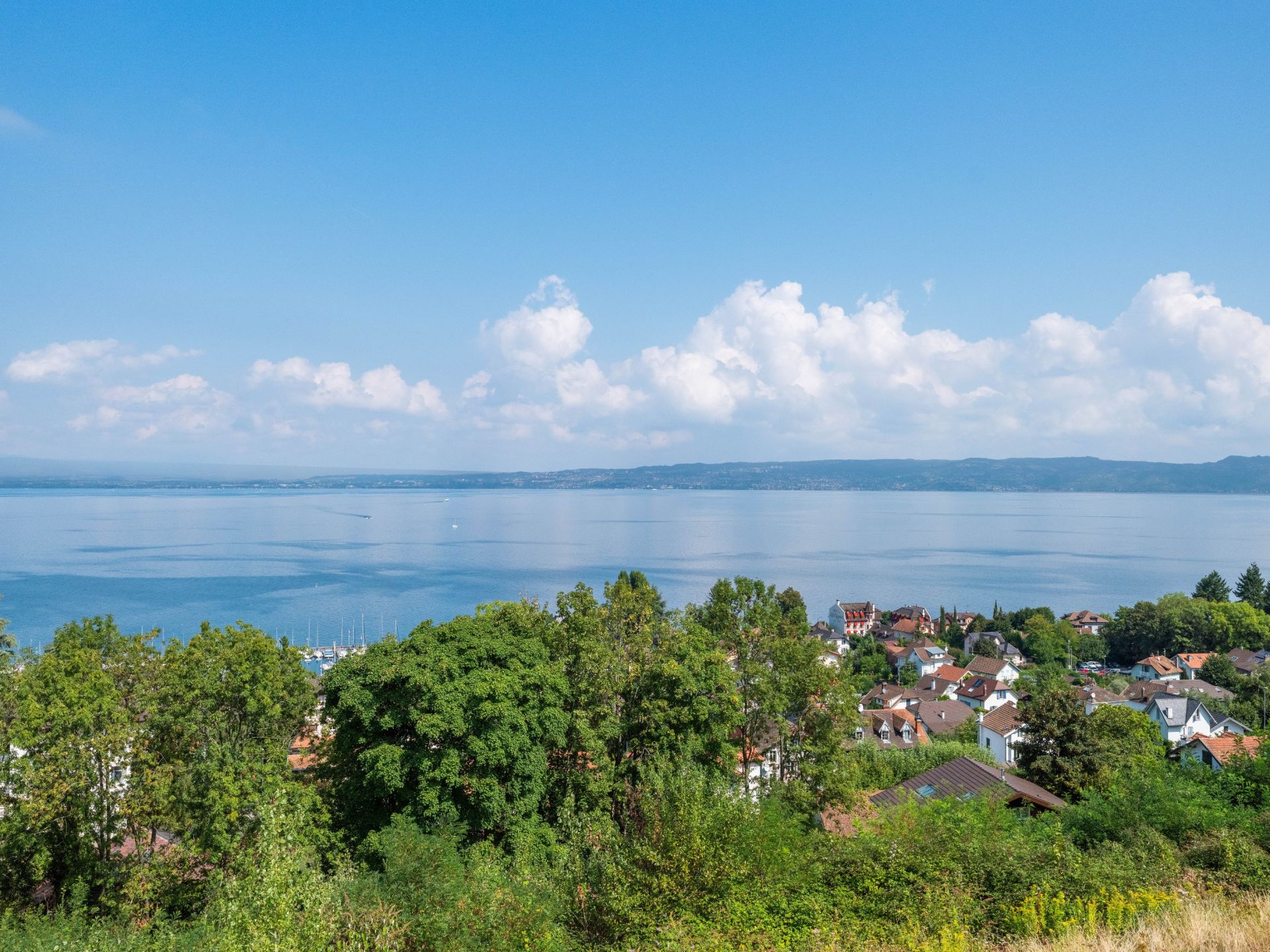 apartment 4 Rooms for sale on NEUVECELLE (74500)