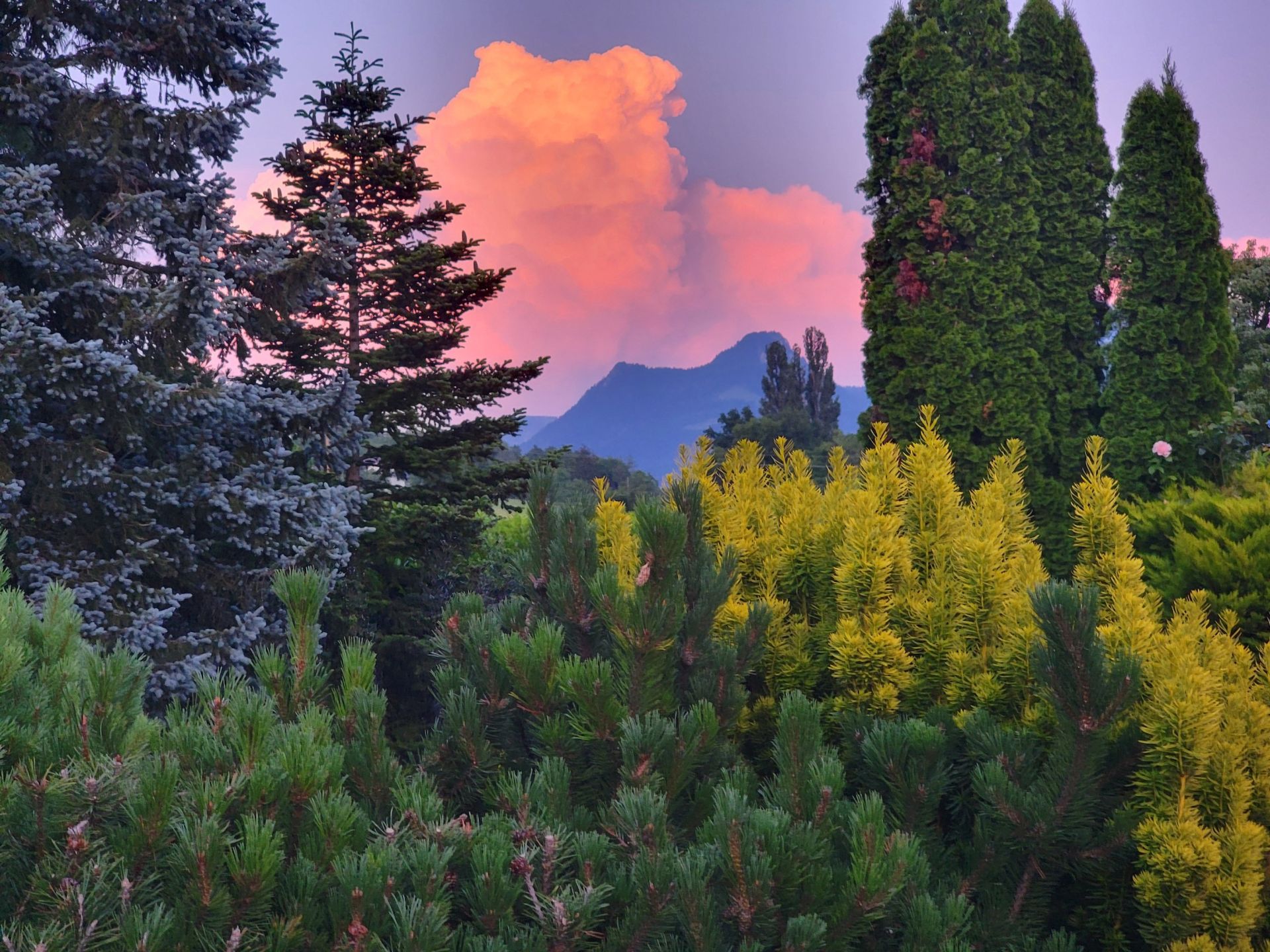 maison 10 Pièces en vente sur FETERNES (74500)