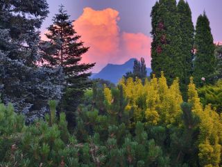 maison 10 Pièces en vente sur FETERNES (74500)